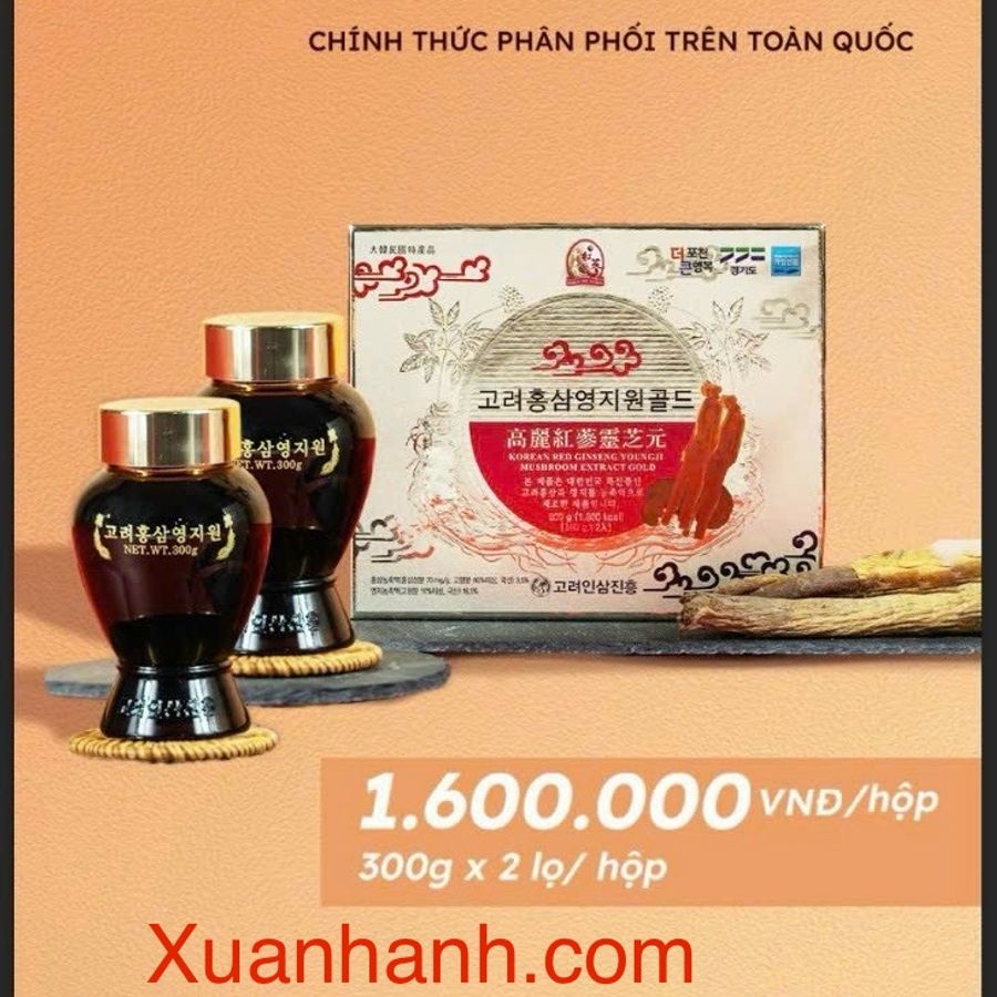 Cao Linh Chi Hồng Sâm Mushroom Extract Gold Hàn Quốc - Hộp 600g (300g x 2 lọ)