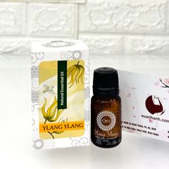 Tinh dầu Ylang Ylang ngọc lan tây an thần, chống trầm cảm 10ml 