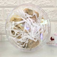 Yến sào nguyên tổ dai ngon, nguyên chất, mới thu hoạch, 100g/hộp