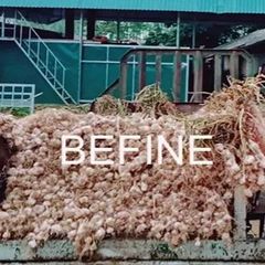 Nước cất Befine Hydrosol - Tỏi kháng viêm, hỗ trợ hô hấp, tăng cường sức đề kháng.