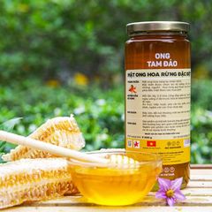 Mật ong Tam Đảo Honeco Hoa Rừng Đặc Biệt từ nguồn hoa tự nhiên, quý hiếm - 600g
