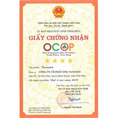 Tacumin Tam Đảo Honeco điều trị dạ dày, tá tràng, ngăn ngừa ung thư, 600g
