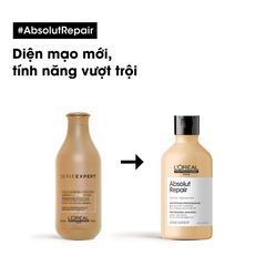 Dầu gội L'oreal Absolut Repair Protein + Gold Quinoa chăm sóc và phục hồi tóc hư tổn, 300ml