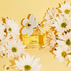 Nước hoa Marc Jacobs Daisy dịu ngọt, tinh tế và cuốn hút, 30ml - EDT (New)