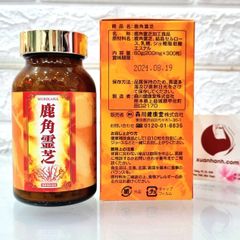 Viên uống nấm Linh Chi Morikawa thần dược cho sức khỏe, tăng cường đề kháng, 300viên