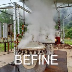 Tinh dầu thiên nhiên Befine Cinnamon Essential - 100% Vỏ Quế kháng khuẩn, phòng bệnh 
