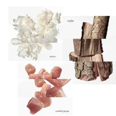 Nước hoa Hermes Twilly Eau Ginger nhẹ nhàng, tinh tế và hiện đại - EDP, 7.5ml (New)