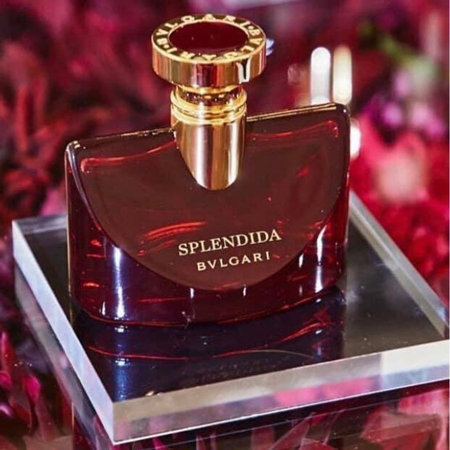 Set nước hoa Macy's Favorite Scents đẳng cấp, ngọt ngào và thời thượng (Limited 2022)