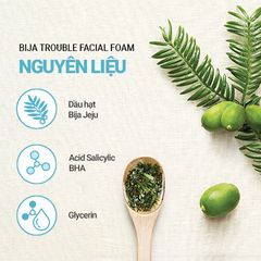 Sữa rửa mặt Innisfree Bija Trouble Facial Foam sạch sâu cho da dầu mụn - 150g