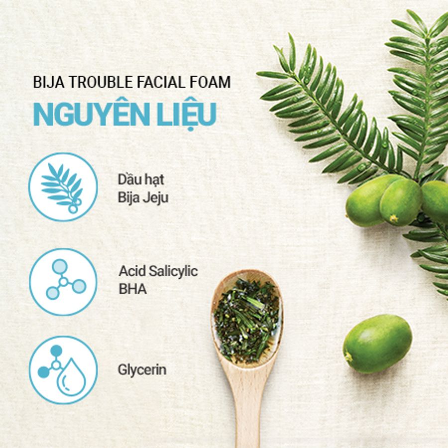 Sữa rửa mặt Innisfree Bija Trouble Facial Foam sạch sâu cho da dầu mụn - 150g