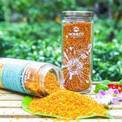 Phấn hoa Tam Đảo Honeco hỗ trợ điều trị các bệnh về tiêu hoá, đường ruột, 300g