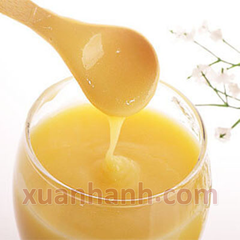 Sữa Ong Chúa tươi Honeco phục hồi sức khỏe, sinh lý, trẻ hóa da 100g