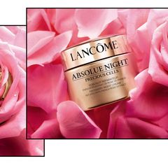 Kem dưỡng đêm Lancome Absolue Rose Extract cao cấp, tái tạo da chống lão hóa 50ml (new)