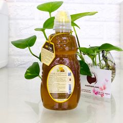 Mật ong Tam Đảo Honeco + Sữa Ong Chúa tươi 10% tăng cường sức khỏe, sinh lý, 360g