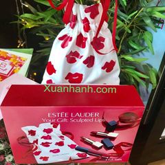 Gift set 3 son Estee Lauder full size dòng cao cấp, màu đỏ và đất đẹp