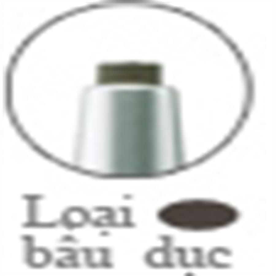 Đầu chì kẻ mày Kanebo Coffret D'or dễ vẽ, bám lâu, màu xám khói GY