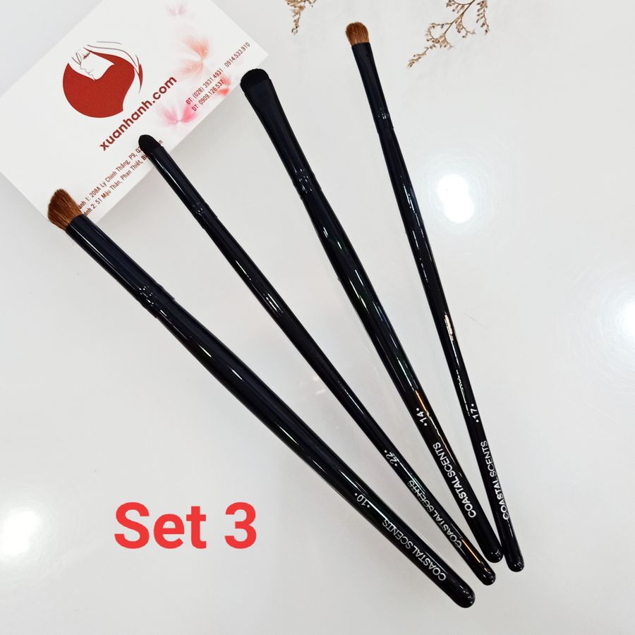 Giftset 4 cọ Coastal Scents tiện dụng, make-up cá nhân cho mắt, môi. 