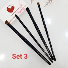 Giftset 4 cọ Coastal Scents tiện dụng, make-up cá nhân cho mắt, môi. 
