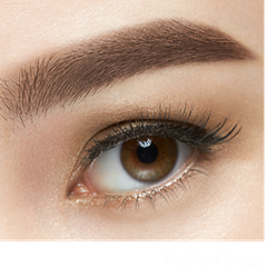 Bột vẽ mày Kanebo Kate Designing Eyebrow kèm gương, cọ, #EX-5 nâu đậm