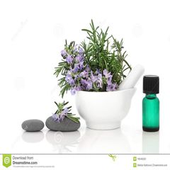 Xịt khoáng Shu Uemura Depsea Water Rosemary Mist cung cấp ẩm, kháng viêm 150ml