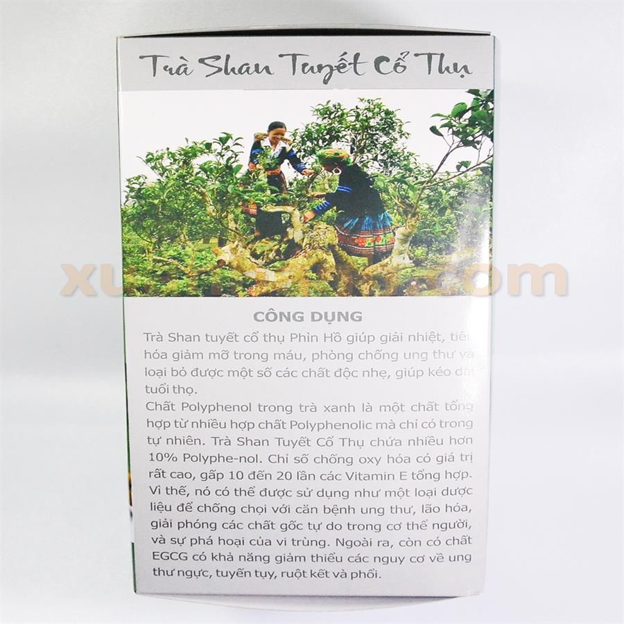 Chè Shan Tuyết Cổ Thụ vùng núi Hà Giang tinh khiết, siêu sạch từ thiên nhiên 1kg