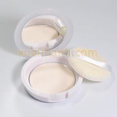 Phấn dưỡng Shiseido White Lucent Brighteing Skincare Powder sáng trắng 5g